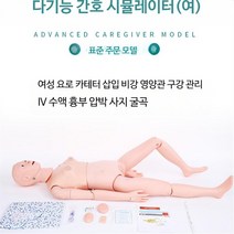 인체 전신 모형 실습 간호 교육 간병인 요양보호사, 3_관절나사고정여성