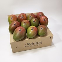 달가 항공 직수입 고당도 애플망고 브라질 페루 대만 2kg/4kg, 브라질 애플망고 2kg(4-5입), 1개