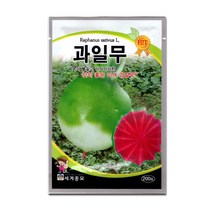 모칸도 세계 과일무 씨앗 200립