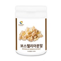 뉴트로웨이 보스웰리아 추출분말 100% 보스웰리아가루 분말200g 인도산 파우다 유황나무 수액 유향NO 인디안프랑킨센스나무껍질 수지식물성 연골 관절 영양제 추천 선물 안전식품 파는곳, 1통, 200g