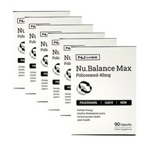 뉴와이즈 발란스 맥스 폴리코사놀 코엔자임 식이유황 90정 X6