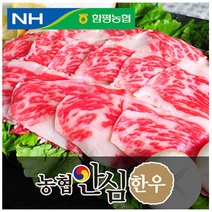 농협안심한우 차돌박이, 1팩, 500g 구이용(1등급)