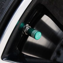 벤츠 E클래스 E220d 300 타이어밸브캡 용품, 그린