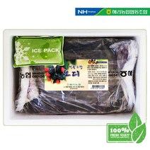 [고창오디] 22년 고창 햇 오디 냉동생과 과상2호 10kg, 상세 설명 참조