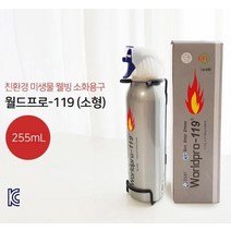 가정용 차량용 캠핑 휴대용 에어로졸 소화기 안전용품, 실버