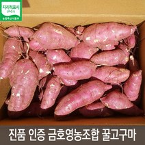 [MD추천] 꿀당도 해남 금호영농조합 베니하루카 꿀고구마, 1박스, 특대 (요리용) 크기 3kg