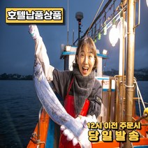 신성제주가 프리미엄 제주 갈치 선물, 2마리, 600이상