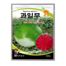 과일무 씨앗 채소 무종자(200립) MK167