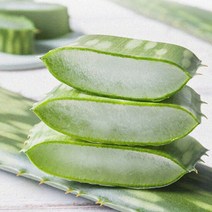 알로에 사포나리아 생잎 1kg, 단품