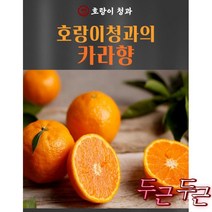 제주 블로초 카라향 프리미엄 로얄 설국향 수라향 진지향 1.5kg 3kg 금귤 제철, 로열과 블로초 카라향 3kg, 로열과 블로초 카라향 3kg