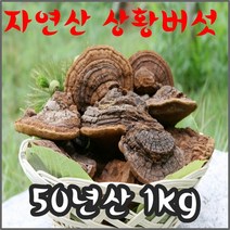 [절편상태발송]상황버섯/50년산 1kg/자연산 정품 산뽕나무상황버섯/국내최상급상황버섯 고급포장, 1개