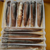 국내산 선동 초코 냉동오징어 10마리 2.5kg, 1개