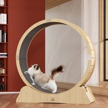 싸다 캣휠 가성비 고양이 운동 다이어트 뚱냥이 저소음 장난감 스크래쳐 겸용, XL(10kg)