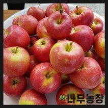 (나무농장) 미니사과(오토매) R3 분