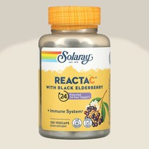 솔라레이 블랙 엘더베리 200mg 삼부커스 비타민C 칼슘 아세로라 체리 인돌 120캡슐, 120캡슐 1개