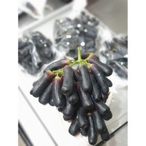 고당도 프로미엄 국내산 경북김천 블랙사파이어 가지포도 크림슨포도 국산 산지직송 1kg/1.5kg/2kg, 1.5kg, 1개