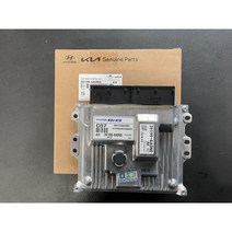 포터2 ECU (케피코 덴소) 39106-4A060 391064A060 [리프로그래밍 새상품]