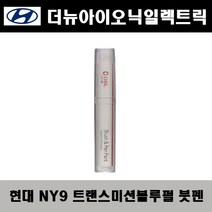 현대 더뉴아이오닉일렉트릭 NY9 트랜스미션블루펄 주문붓펜 자동차 도색 차량용 카페인트
