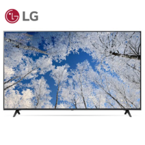 LG 65인치(165CM) 4K UHD 스마트 TV 65UQ7070, 지방 벽걸이