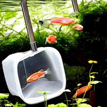 어항청소 낚시 상륙 그물 확장 가능한 텔레스코픽 물고기 새우 스키밍 그물 스테인레스 스틸 핸들 수족관 물고기 탱크 연못 크릭 (라운드 그린), 정사각형, 빨간색