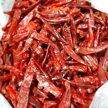 산들바람 국산 진도 유기농 건고추 1근(500g) 꼭지제거