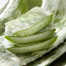 [유기농] 한림알로에 껍질째 먹는 생알로에 생잎 사포나리아1kg