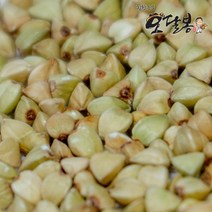 힘찬농부 수입 기피메밀 깐메밀, 4kg