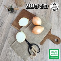 당일작업! 친환경 무농약 피양파 1kg 3kg 5kg