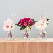 아로마컴퍼니 코제트 인 러브 디퓨저 150ml, 카멜리아