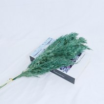 대형 화분 큰팜파스 잔디 말린 꽃 푹신한 자연 홈 보헤미안 장식 국가 웨딩, 05 E_02 10pcs