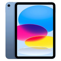 애플 아이패드 10세대 27.5cm WiFi 64GB / 256GB (관부가세포함_미국정품), 10세대 64GB-블루