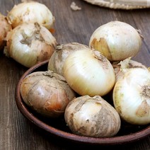[산지직송] 단단한 황토 무안 햇 양파(소) 3kg, 단품, 1개