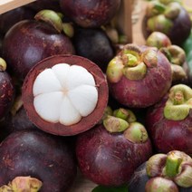 열대과일 냉동 망고스틴 500g+500g, 열대과일 냉동 망고스틴 500g+50