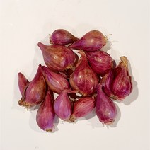 샬롯 미니양파 shallot 험댕 HANH TAY HANH TIM, 1개