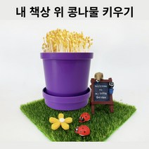 콩나물 키우기 콩나물 기르기 콩나물 재배기, 콩나물키우기