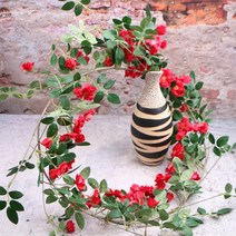 덩굴장미 인테리어 장미넝쿨 조화 도매, 02_화이트