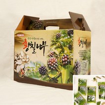 국산 황칠 나무즙 추출물 액기스 진액 100MLX60P 황칠즙 황칠나무진액, 황칠나무즙1박스, 1개