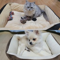 애견쿠션 사각방석 침대 뼈다귀, 브라운, 소형