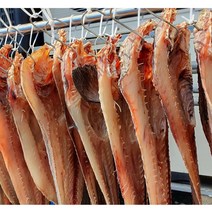 겨울철 생선 여수 건조 물메기 50cm 내외 2마리