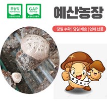 무농약인증 GAP인증 <파지-소-특대-소+대> 생표고버섯 파지 디시용 식당용 추천용 육수용, 파지 <소>” class=”wr-img”></a></div></div></div></div><div class=
