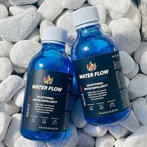 TAC시스템 워터 플로우 코트 300ml 발수코팅제, 단일수량