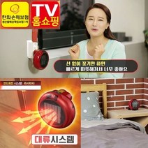 이젠파워 정품 고급형 열풍기 온풍기 리모컨사용 미니열풍기 23785EA, 본상품선택, 본상품선택