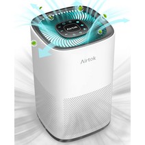 업소용 산업용 공기청정기AIRTOK 공기 청정기 AP1001 교체용 필터 H13 True HEPA &amp; 활성탄 필터, 02 공기 청정기 AP1001