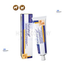 코랙 뉴트리플러스겔 영양제 120.5g 개냥이 오시켓 버미즈 랙돌