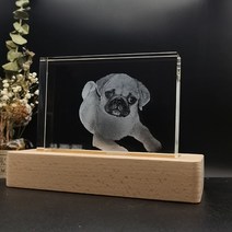 반려동물 초상화 고양이 강아지 무드등 액자 주문제작, E(USB타입 LED받침 포함)