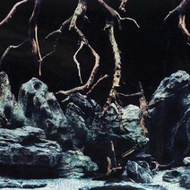 A)백스크린 높이 49cm (10cm단위)-어항배경 그림 시트지/헬로아쿠아