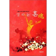 열리는 혼:김광수 제10소설집 연작소설, 세종출판사, 김광수 저
