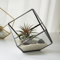 비오스 테라리움 큐브 철제프레임 사각 유리화분, 블랙프레임