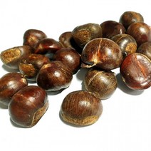 햇약단밤 1KG 칼집O 밤삶기 옥광밤 밤보관법 공주밤