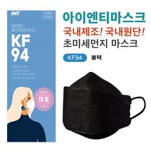 INT KF94 마스크 블랙 대형 100매 국내원단필터제작 개별포장, 1개